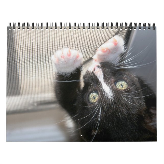 A year of fuzzybutts calendar (Cover)