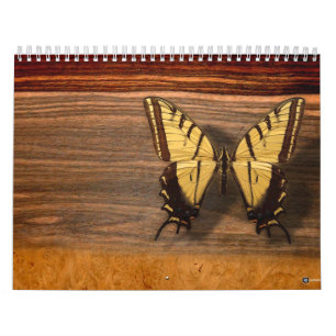 A YEAR OF NATURE CALENDAR