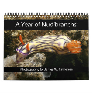 A Year of Nudibranchs Calendar