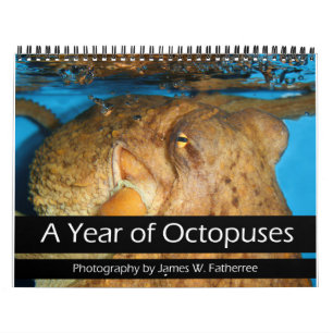 A Year of Octopuses Calendar