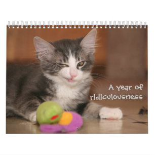 A year of ridiculousness calendar