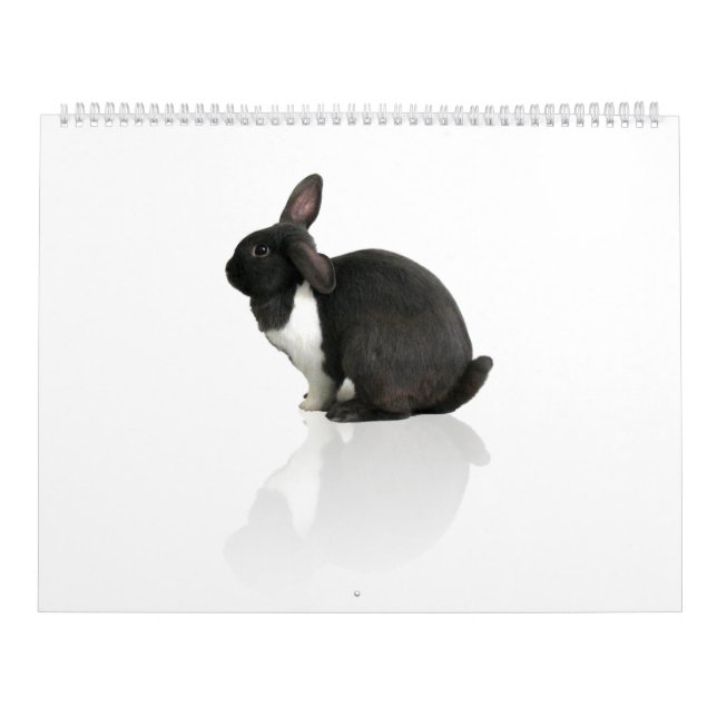 A Year of Rupert Calendar (Cover)