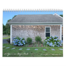 A Year on Cape Cod: dreamflower 2025