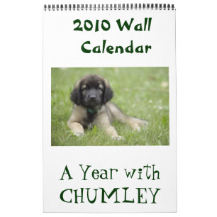 A Year with Chumley 2010 Wall Calendar