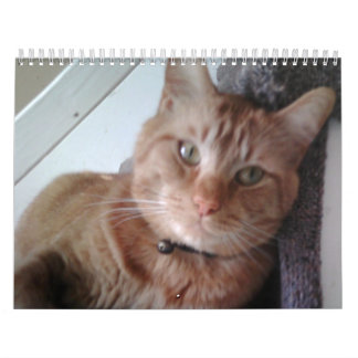 A Year With Pokey Calendar