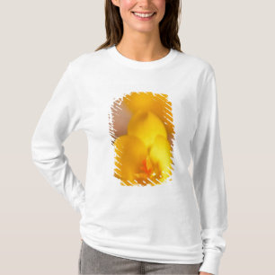A yellow crocus blooms in Portsmouth, New T-Shirt