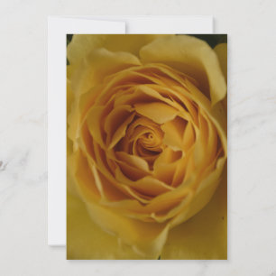 A Yellow Rose 50th Birthday Party Invitation