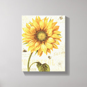 A Yellow Sunflower Canvas Print
