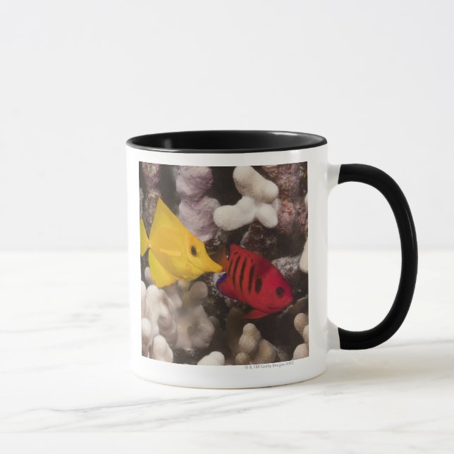 A Yellow Tang Mug (Right)