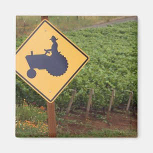 A yellow tractor crossing sign in the vineyard magnet