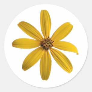 A Yellow Wildflower Sticker