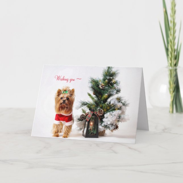 A YORKIE CHRISTMAS CARD FOR ANYONE (Front)