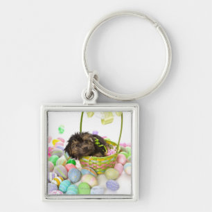 A Yorkie-poo puppy encountering an Easter basket Key Ring