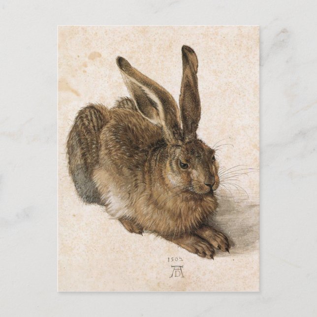A Young Hare by Albrecht Durer Postcard (Front)