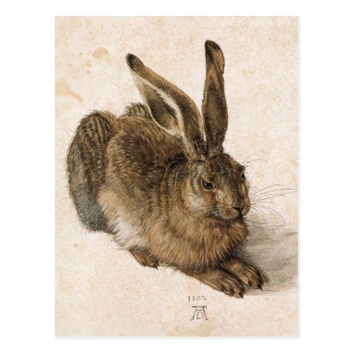 Image of A Young Hare by Albrecht Durer Postcard