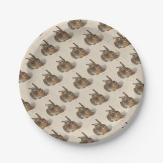 A Young Hare Paper Plate