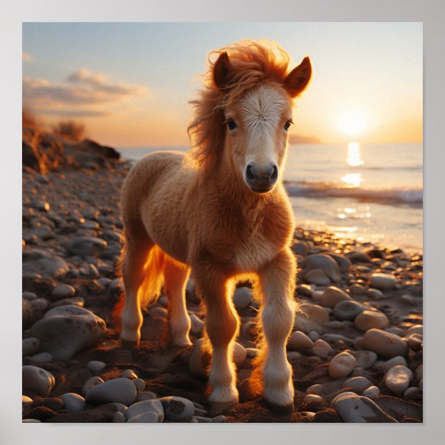 A young horse with a mane of flowing curls poster (Front)