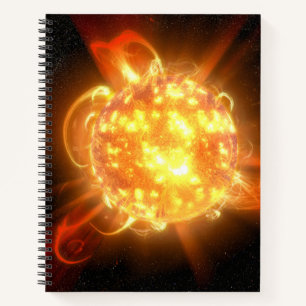 A Young Red Dwarf Notebook