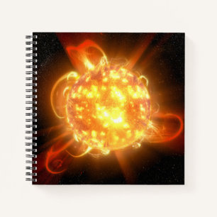 A Young Red Dwarf Notebook