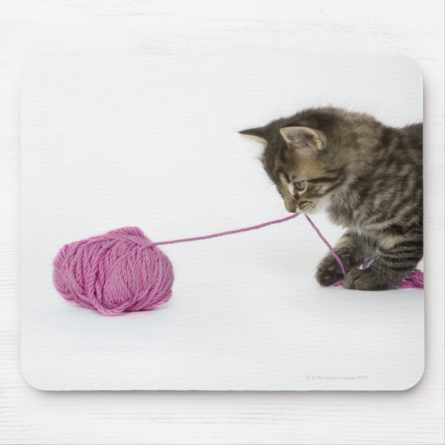 A young tabby kitten playing with a ball of mouse mat (Front)