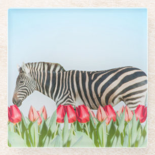 A Zebra Among the Tulips Glass Coaster