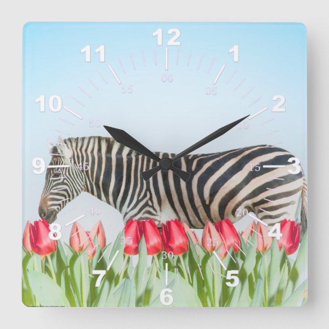 A Zebra Among the Tulips Square Wall Clock (Front)