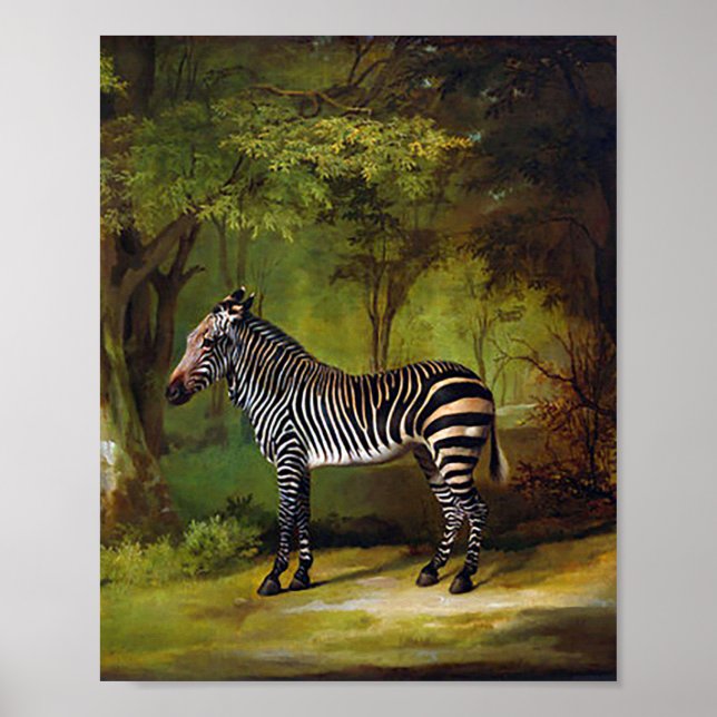 A Zebra by George Stubbs  Poster (Front)