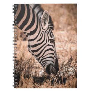 A ZEBRA ETOSHA NATIONAL PARK NOTEBOOK