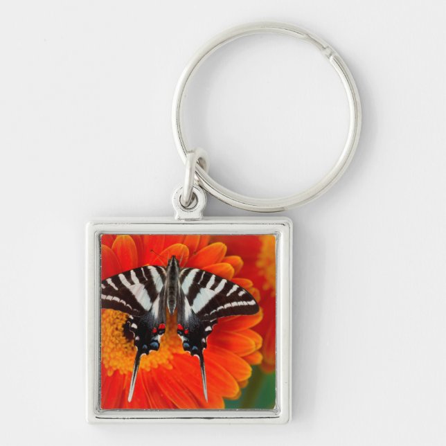 A Zebra Swallowtail Butterfly Key Ring (Front)