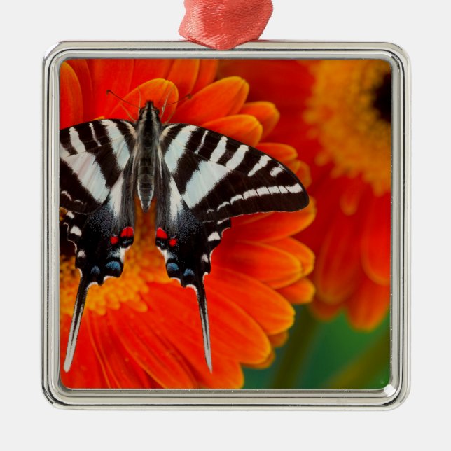 A Zebra Swallowtail Butterfly Metal Tree Decoration (Front)