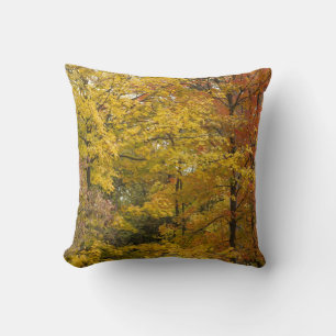 aaa cushion