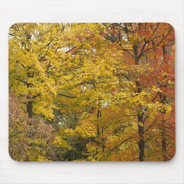 aaa mouse mat (Front)