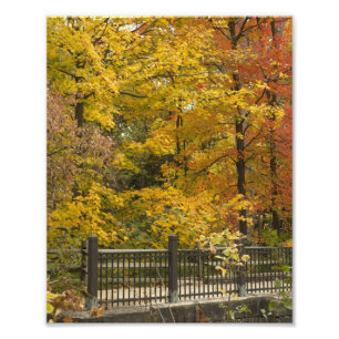 aaa photo print