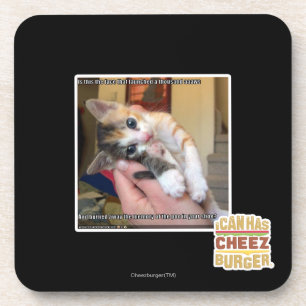 Aaaws Coaster