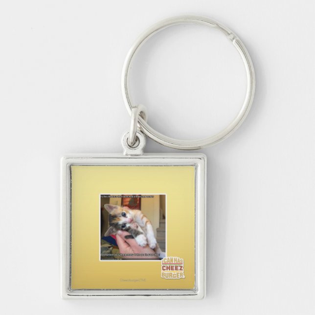 Aaaws Key Ring (Front)