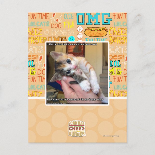 Aaaws Postcard (Front)