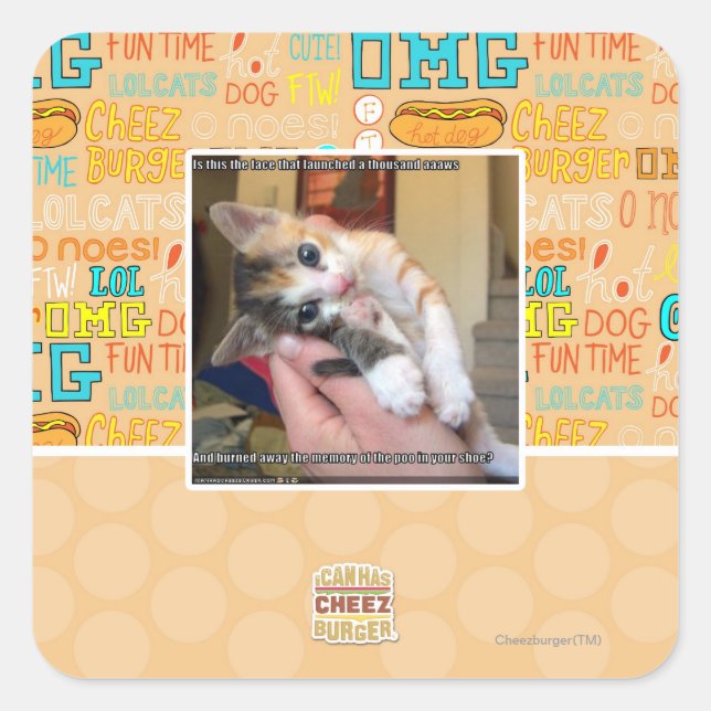 Aaaws Square Sticker (Front)