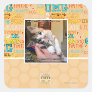 Aaaws Square Sticker