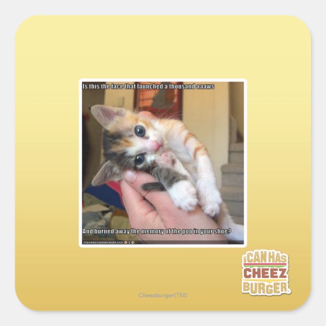 Aaaws Square Sticker (Front)