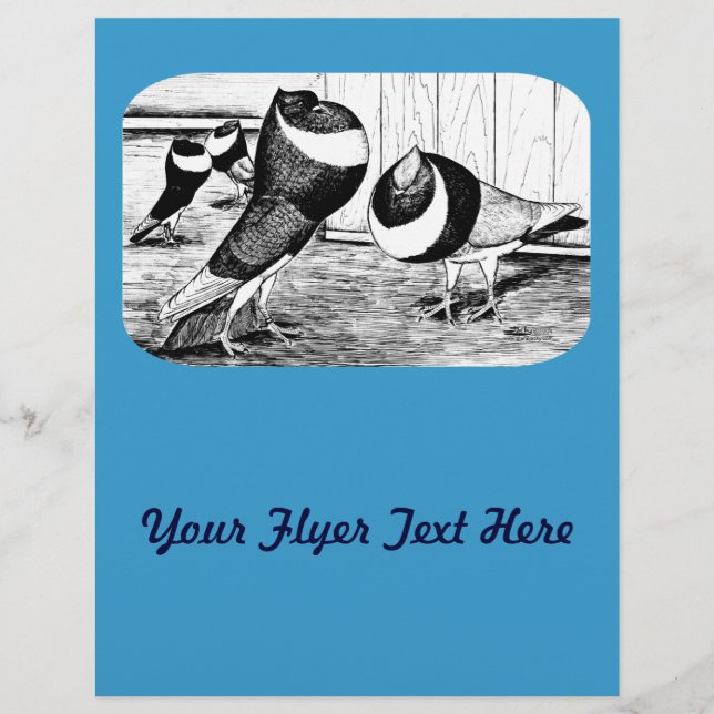 Aachen Band Cropper Pigeons Flyer (Front)