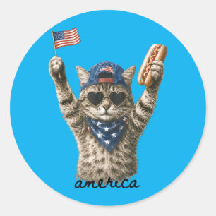 Aamerica Patriotic Cat Hot Dog Classic Round Sticker