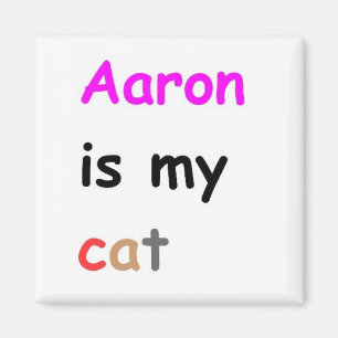 Aaron is my cat magnet