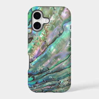 Abalone