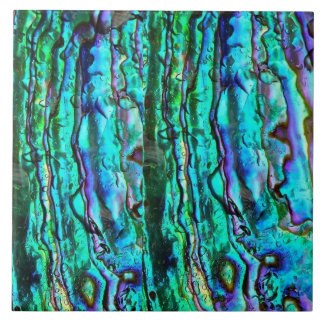 Abalone  ceramic tile