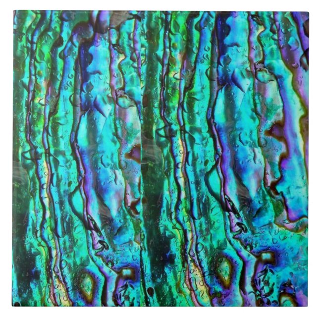 Abalone  ceramic tile (Front)