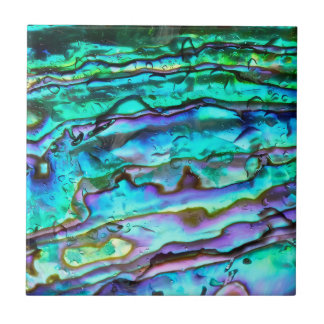 Abalone  ceramic tile