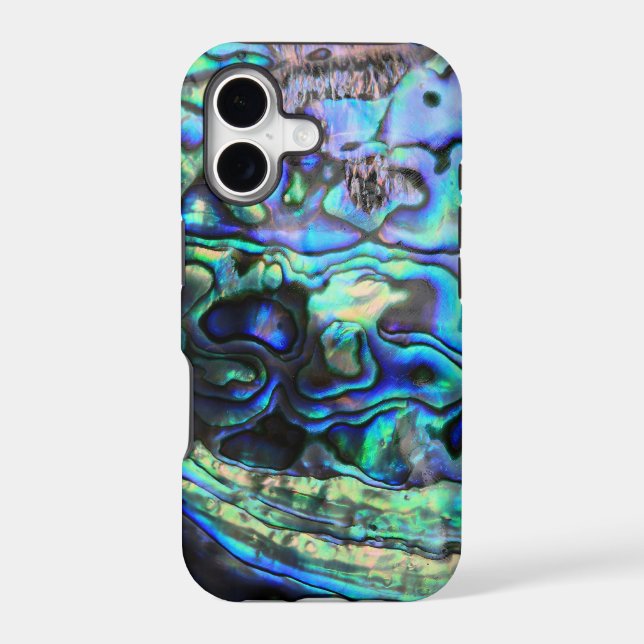 Abalone paua shell (Back)