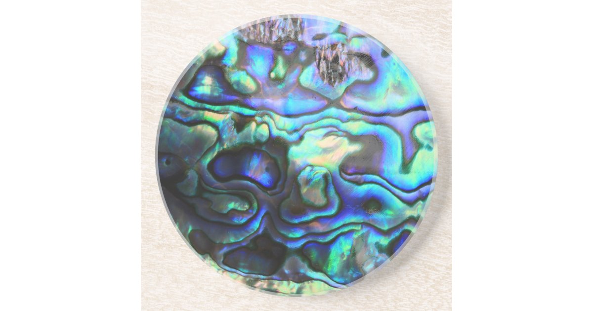 Abalone paua shell coaster | Zazzle