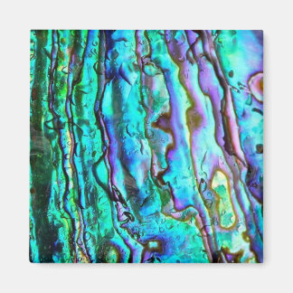 Abalone paua shell image square magnet