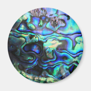 Abalone paua shell magnet